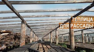 Как устроена теплица для рассады на 250 000 корней? КФХ Екатерины Баулиной