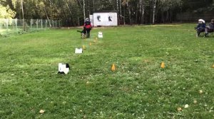 Ралли обидиенс, дебют, первый участник.