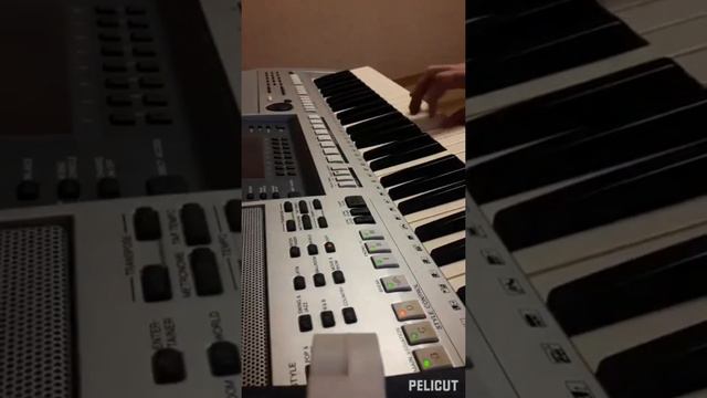 Игра на синтезаторе Yamaha PSR-S 700 Болгарская песня.