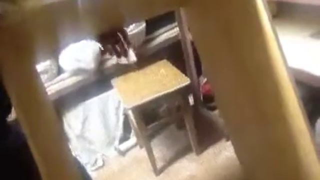 ^2-ясельки для перепелок(своими руками)-НАЧАЛО(ящик)-29.11. смотреть онлайн