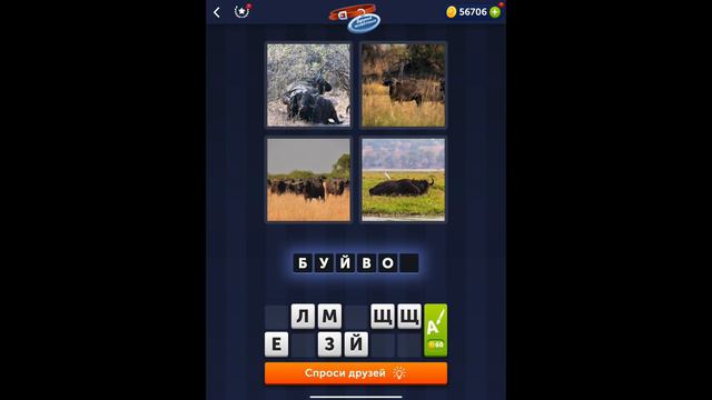 4 фотки 1 слово - Друзья животных - 06.02.2022 - Ответы Ежедневная Загадка - февраль 2022 смотреть онлайн