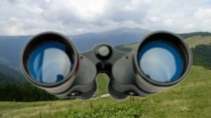 Далеко, далеко на лугу пасутся КО....