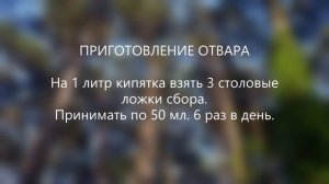 Сбор № 344. При истерии с нервными припадками.