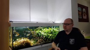 Аквариум в отпуске.