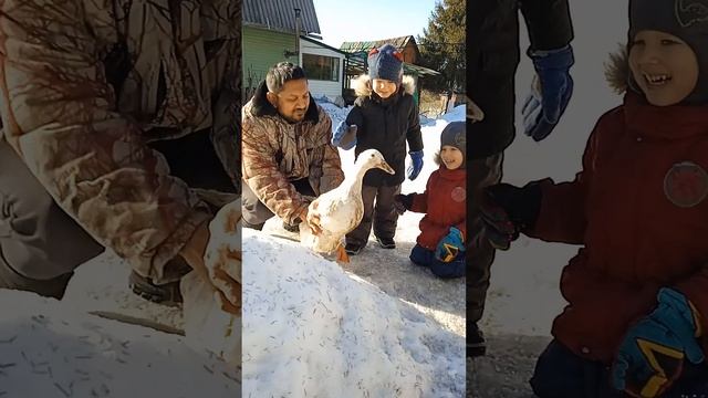 дети уточка и папа . жизнь дачная . #дача #утка #детскийблог #приемныедети #детскоевидео