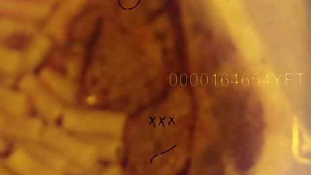 Смоки Мо Антон