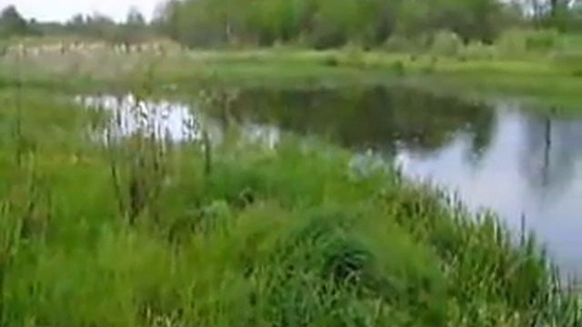 Рыбалка.  Запахи для рыбы
