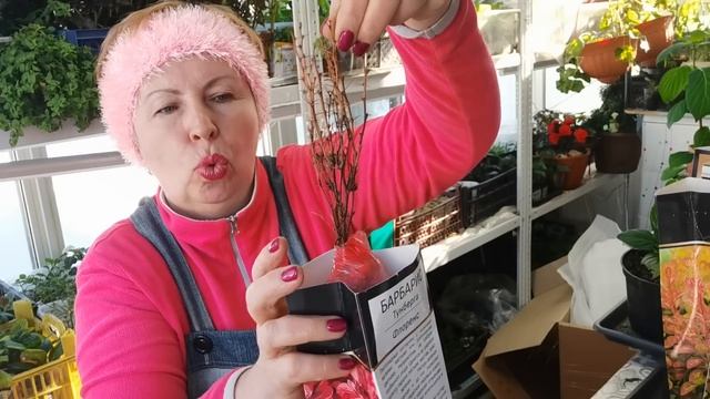 НОВИНКИ красивых кустарников в сад и японские препараты. Где купила?