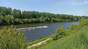 Долгопрудный прогулка вдоль канала им. Москвы июнь 2022