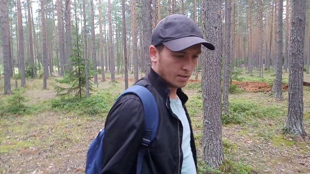 #1 За черникой в Лемболово 26.07.2020