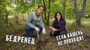 От бронхита, камней в почках и даже от трихомонад!