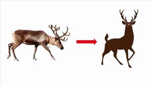 ОРНАМЕНТ. ВИДЫ ОРНАМЕНТОВ.