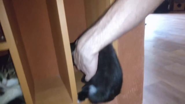 168❤️ Когда сын рядом, мама счастлива!!! Усталость даёт о себе знать. Салат Курочка ряба в описании