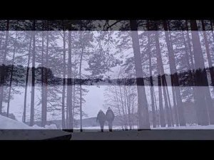 Зимний лес. Гряда Вярямянселькя