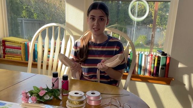 I Made Genevieves 12 Dancing Princesses Ballet Dress!  DIY Barbie Movie Costume
