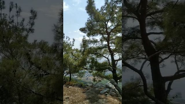 ПЕШКОМ из пос. КИРИШ (Турция) НА ГОРУ. Отель Alva Donna World Palace (Кемер). Сентябрь 2020г.