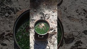 Уха из горбуши на костре