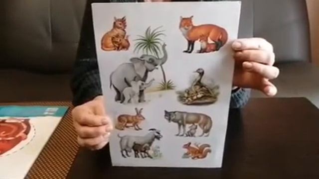 Занятие по ознакомлению с окружающим миром "Дикие животные наших лесов" Милюкова О.И. смотреть онлайн