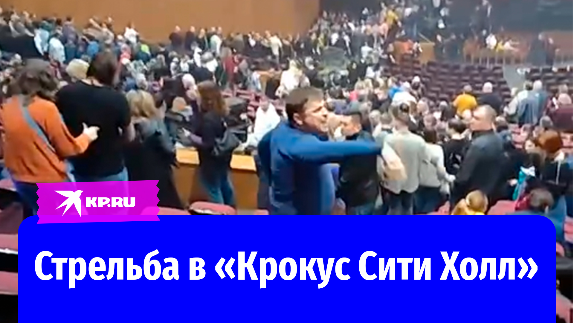 Видео стрельбы сити холл