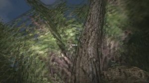 Сталкер ОП-2 Все тайники Коллекционера Тёмная Долина