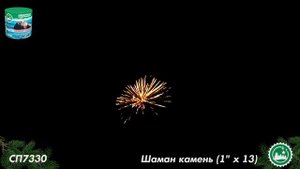 SnapSave.io-СП7330