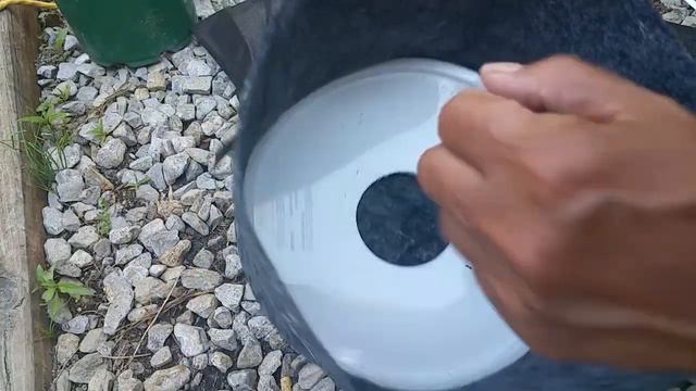 THE BEST HYDROPONIC SYSTEM IN THE WORLD