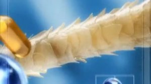 Реклама шампунь Pantene Pro-v 2006 год