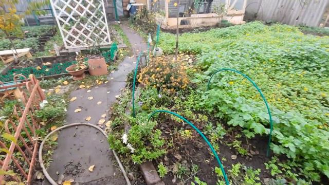 Кароновирус.Муж болеет уже сегодня месяц.