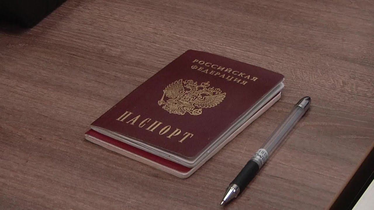 Оформление заграничного паспорта в МФЦ. «Видеоблог Дяди Стёпы».