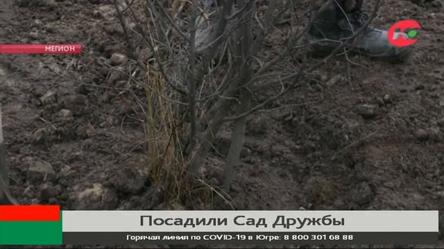 В Мегионе заложили Сад дружбы
