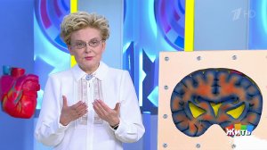 Жить здорово! Выпуск от 1.09.2022