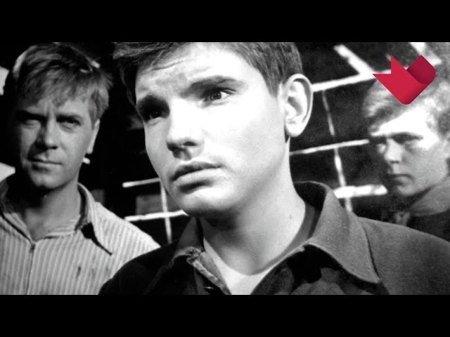 "Друг мой, Колька" | Тайны кино