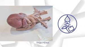 Выпуск новостей НовГУ от 31 декабря 2022