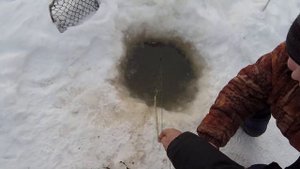 Хорошего по маленьку......