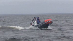 Проверено Балтикой! Буревестник 450