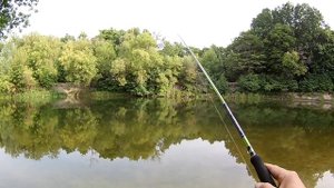 Обзор спиннинга Champion rods Foreman 7'6 ML 5-21гр. Бюджетный универсал для щуки