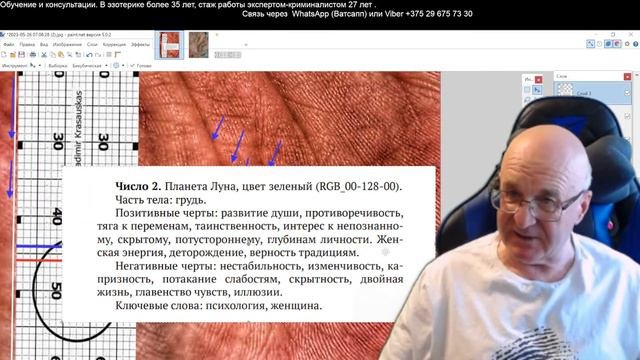 Векторная хиромантия. Урок 1. Хиромантия от Владимира Красаускас