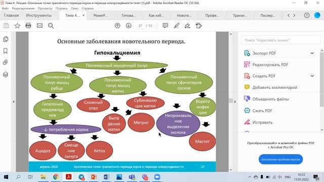 Гипокальциемия у КРС. Послеродовый кетоз. Меры профилактики и борьбы.