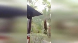РУССКИЕ НЕ СДАЮТСЯ   ЛУЧШИЕ РУССКИЕ ПРИКОЛЫ 2018  Подборка новых русских приколов 2018
