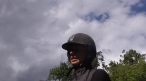 Как управлять лошадью на рыси?