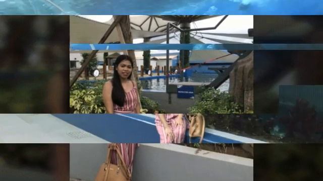 Cebu ocean park / Cebu Philippines