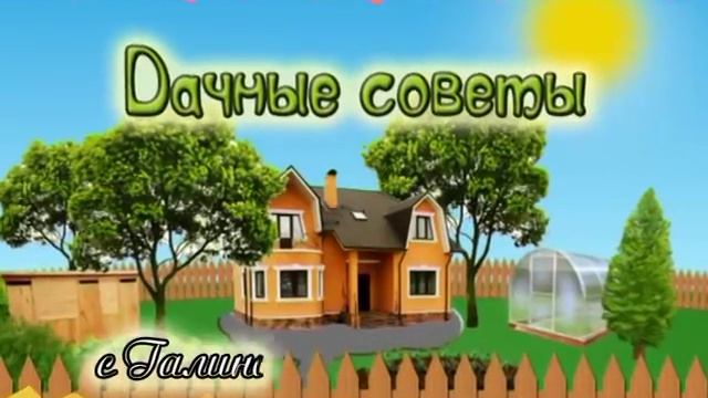 Баковые смеси. Вредители овощных растений.