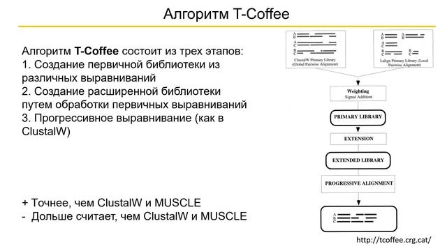 BM3. Как работают алгоритмы множественного выравнивания последовательностей