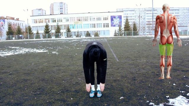 Футбол. Розминка. Дистанційне навчаня. Фізична культура.
