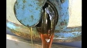 ПЧЕЛОВОДЫ ИЗ ОРЛА