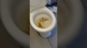 засор школьного унитаза „школа №46”