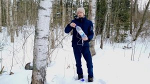 Как правильно собирать берёзовый сок, это просто.