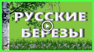 Русские березы. Люблю березку русскую!.mp4