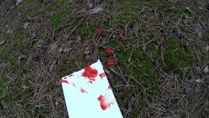 СИРЕНОГОЛОВЫЙ НАПАЛ на НАС! Сергей и Юля РАЗОЗЛИЛИ СИРЕНОГОЛОВЫХ!  ФИЛЬМ //Siren Head Horror YS SHO