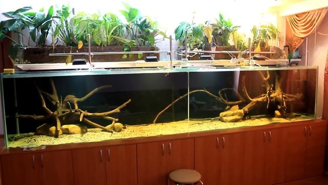 Строительство аквариума на 2500 литров - часть 9(Фитофильтр) смотреть онлайн